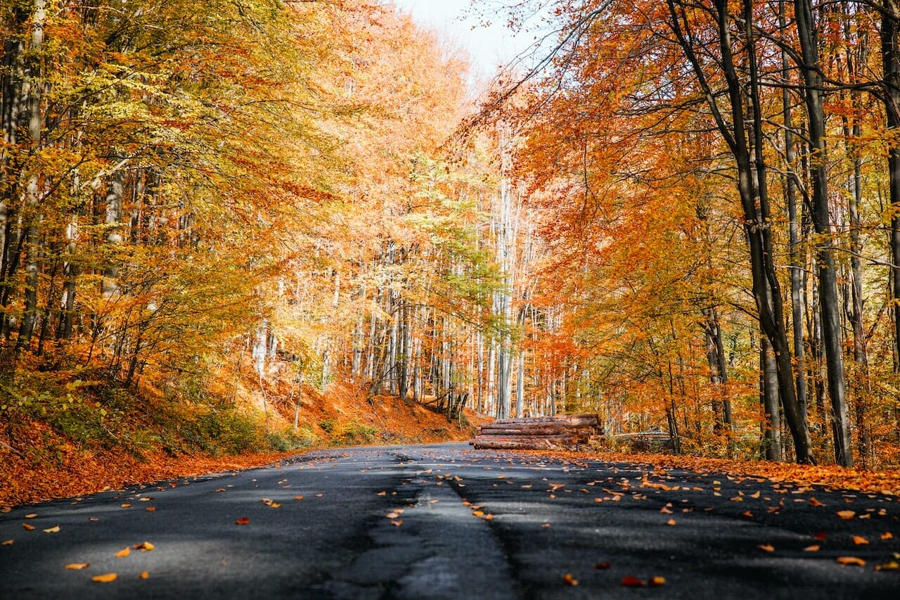 Oldtimer-Herbst 2022 Oldtimer-Herbst 2022: Den goldenen Herbst im Oldtimer genießen.