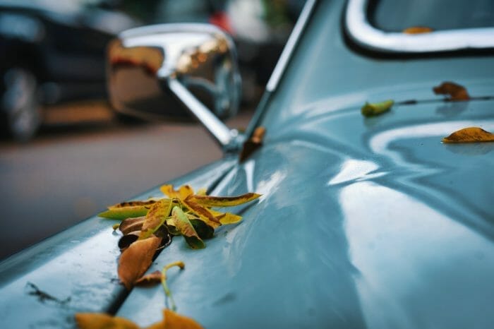 Oldtimer-Herbst 2022: Oldtimer mit Herbstlaub auf der Motorhaube.