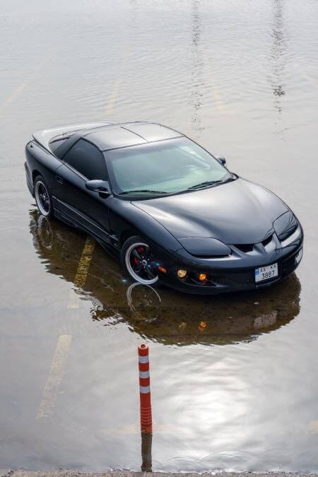 Pontiac Firebird 1988-2002