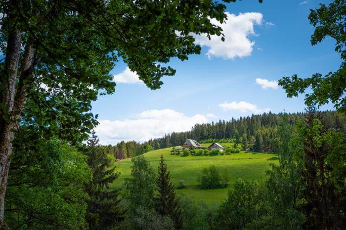 Der Schwarzwald ist perfekt für eine Oldtimertour.